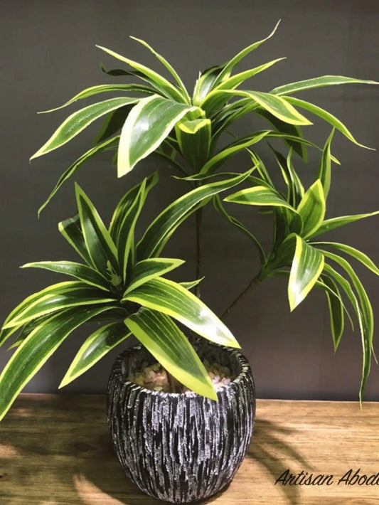 artificial-dracaena-plant-in-modern-pot-for-indoor-decor